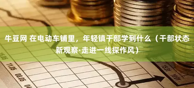 牛豆网 在电动车铺里，年轻镇干部学到什么（干部状态新观察·走进一线探作风）