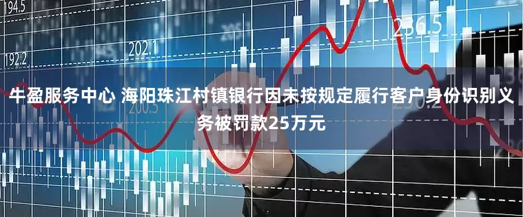 牛盈服务中心 海阳珠江村镇银行因未按规定履行客户身份识别义务被罚款25万元