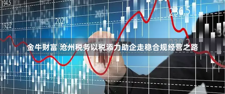 金牛财富 沧州税务以税添力助企走稳合规经营之路