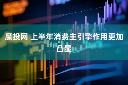 魔投网 上半年消费主引擎作用更加凸显