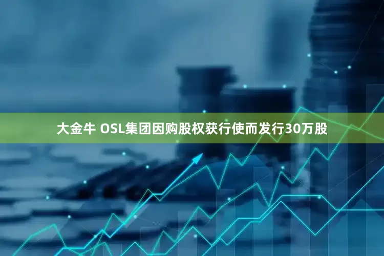 大金牛 OSL集团因购股权获行使而发行30万股