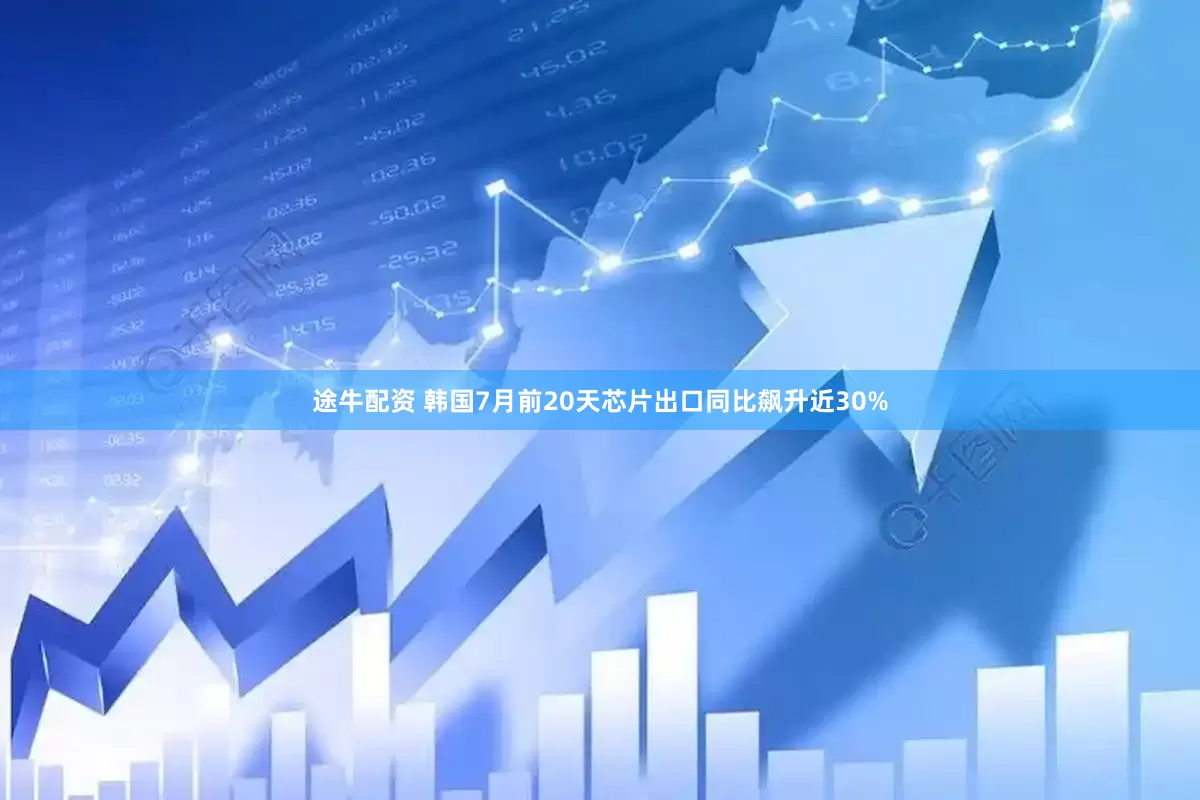 途牛配资 韩国7月前20天芯片出口同比飙升近30%