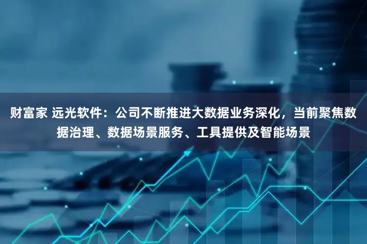 财富家 远光软件：公司不断推进大数据业务深化，当前聚焦数据治理、数据场景服务、工具提供及智能场景