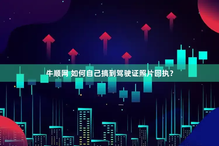 牛顺网 如何自己搞到驾驶证照片回执？